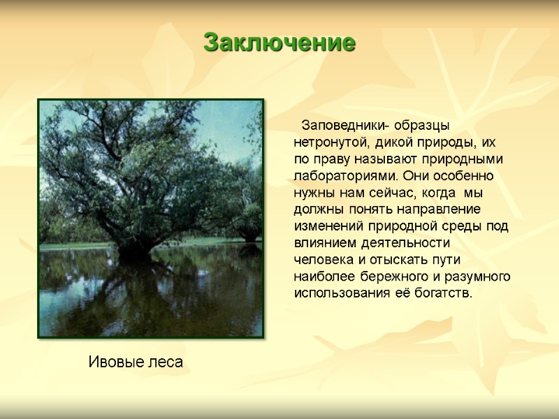 Заключение   Заповедники- образцы нетронутой, дикой природы, их по праву называют природными лабораториями.